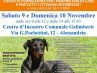 ‘Il Patentino’ Corso di formazione gratuito per i proprietari di cani e per tutti i cittadini interessati